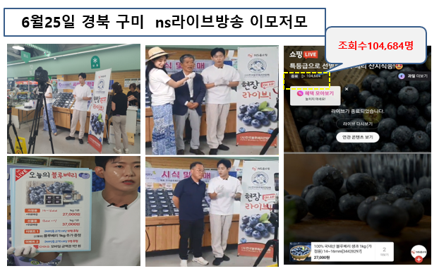 2024년 소비촉진사업  경북 구미블루베리연구회 < NS홈쇼핑 라이브커머스 >