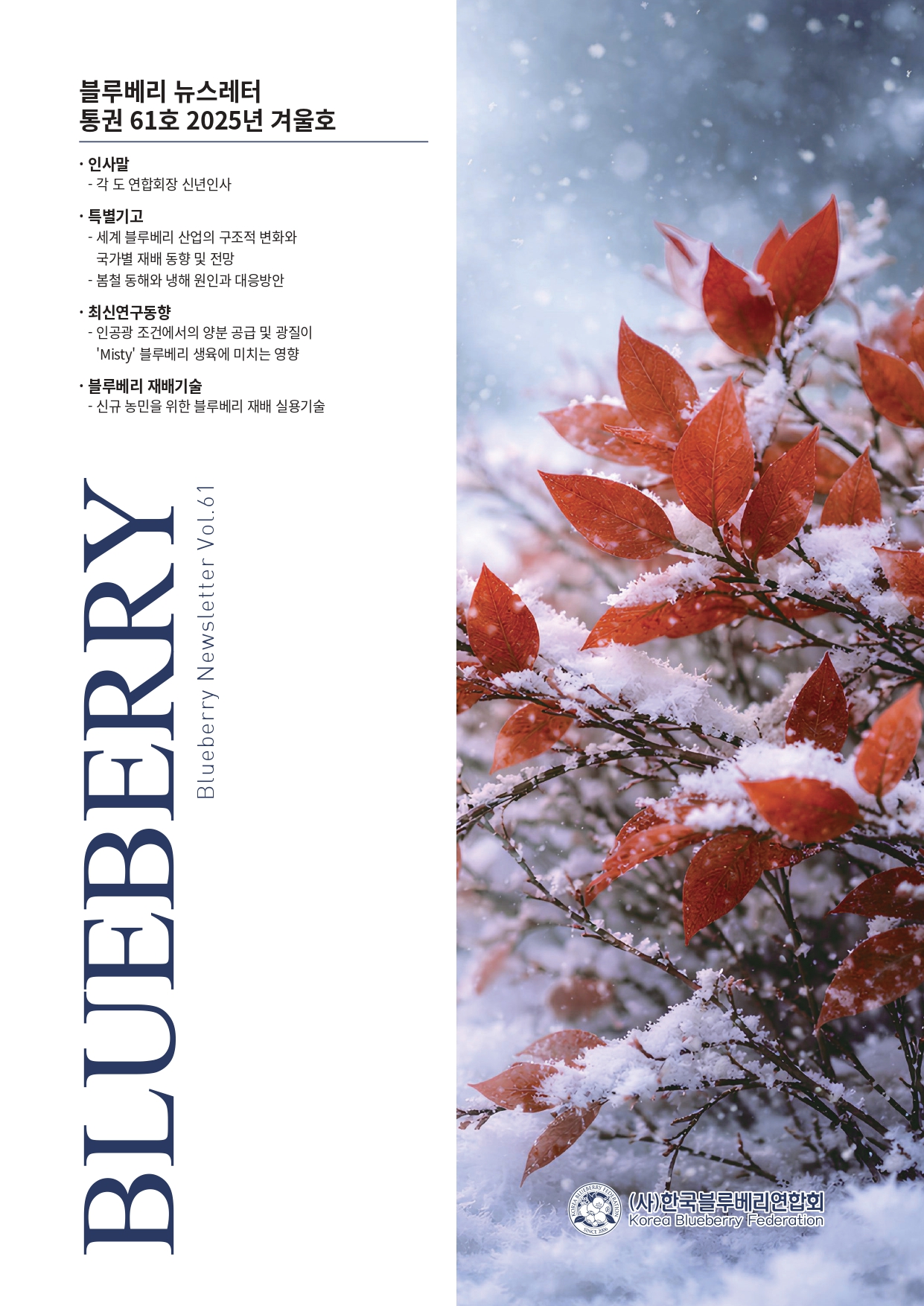 뉴스레터61호